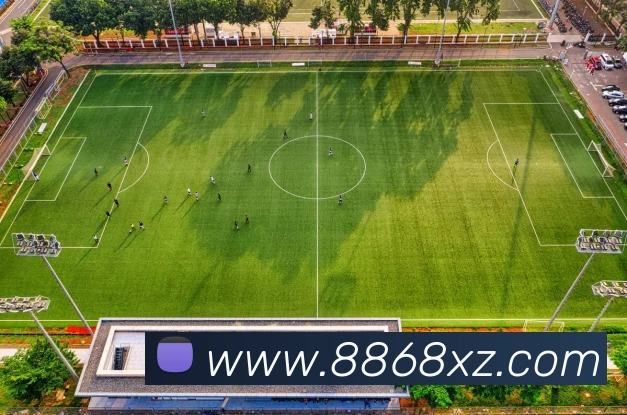 8868体育APP平台生态图